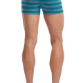 stripe alpine-metro  102914 401