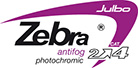 tag_zebra-copie